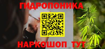 spice Камышлов