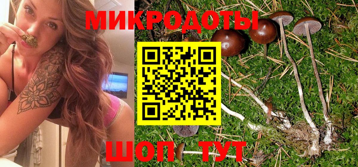 Галлюциногенные грибы ЛСД  Вход с VPN  Кудымкар  Галлюциногенные грибы GOLDEN TEACHER 